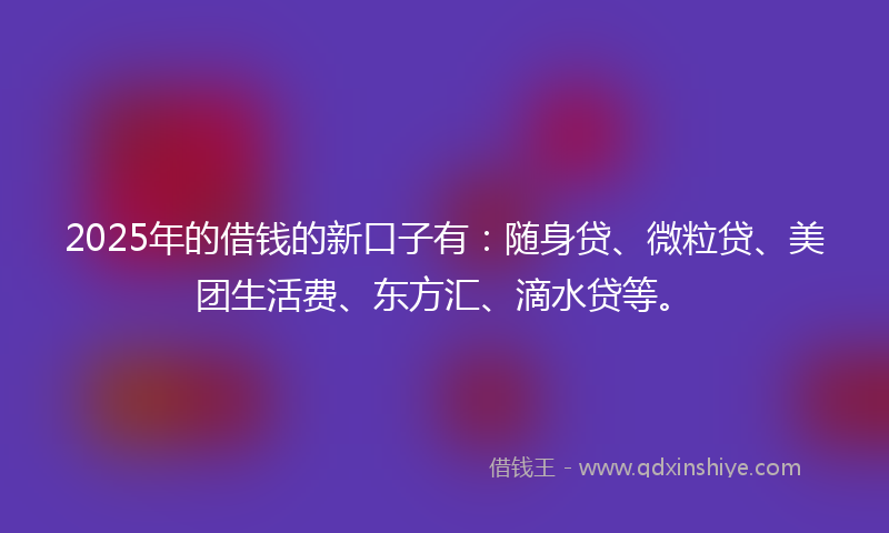 2025年的借钱的新口子有：随身贷、微粒贷、美团生活费、东方汇、滴水贷等。