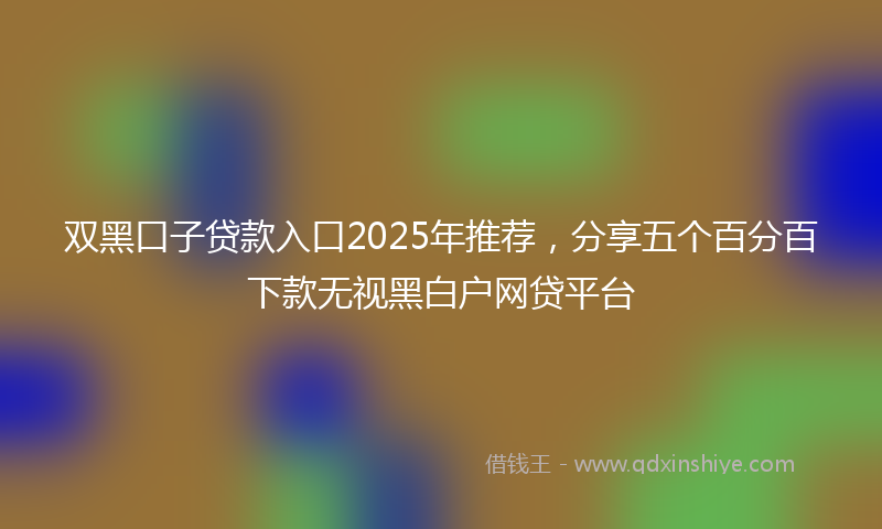 双黑口子贷款入口2025年推荐，分享五个百分百下款无视黑白户网贷平台