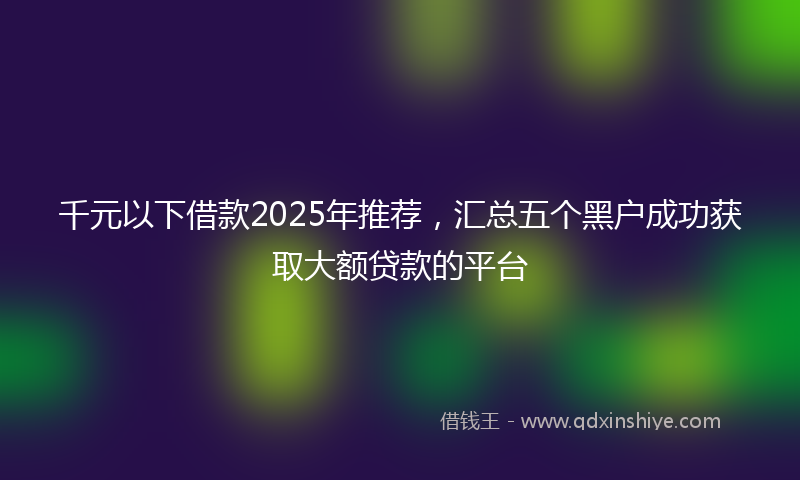 千元以下借款2025年推荐，汇总五个黑户成功获取大额贷款的平台