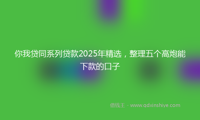 你我贷同系列贷款2025年精选，整理五个高炮能下款的口子