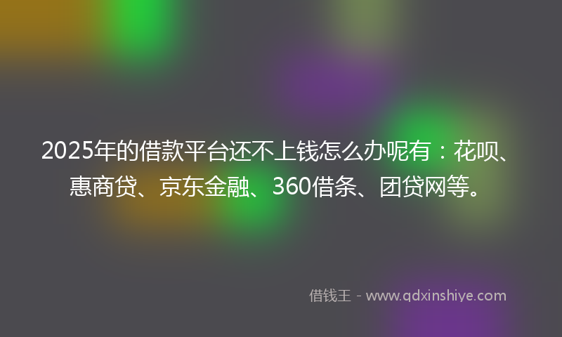 2025年的借款平台还不上钱怎么办呢有：花呗、惠商贷、京东金融、360借条、团贷网等。