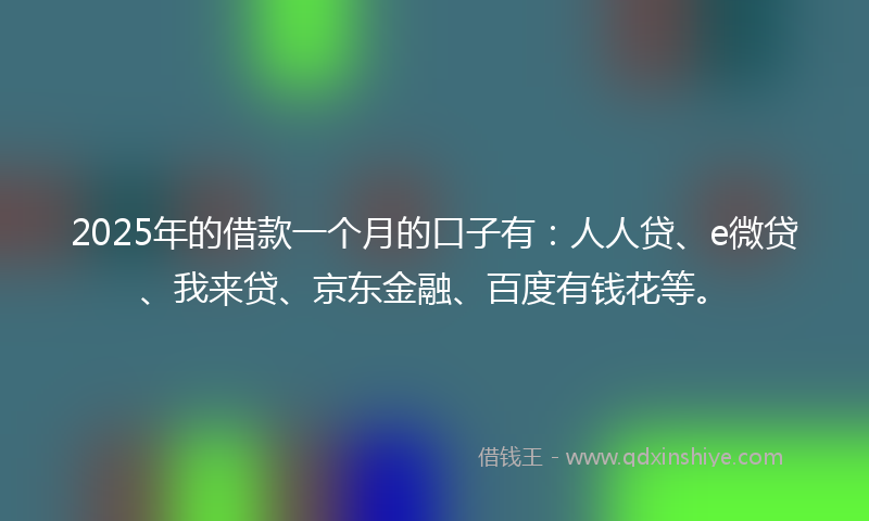 2025年的借款一个月的口子有：人人贷、e微贷、我来贷、京东金融、百度有钱花等。