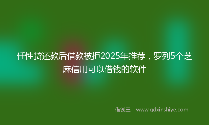 任性贷还款后借款被拒2025年推荐，罗列5个芝麻信用可以借钱的软件