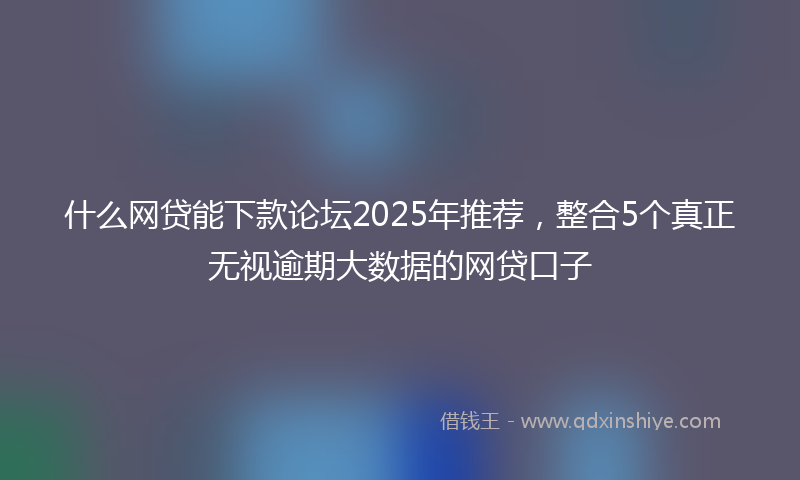 什么网贷能下款论坛2025年推荐，整合5个真正无视逾期大数据的网贷口子