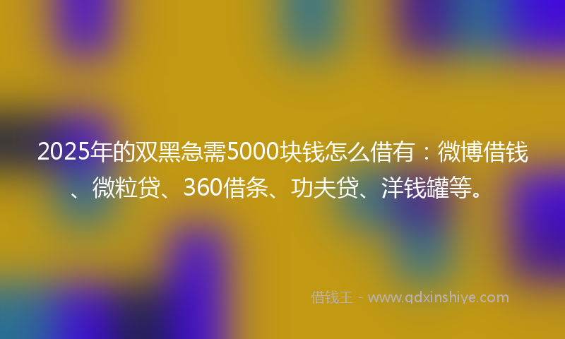 2025年的双黑急需5000块钱怎么借有：微博借钱、微粒贷、360借条、功夫贷、洋钱罐等。