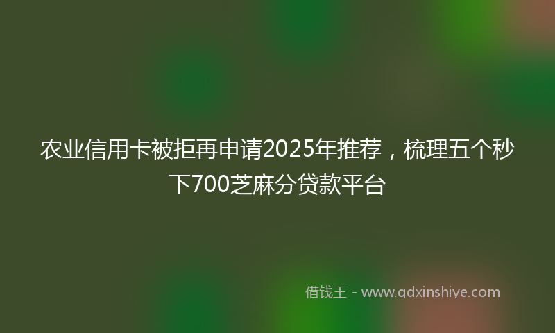 农业信用卡被拒再申请2025年推荐，梳理五个秒下700芝麻分贷款平台