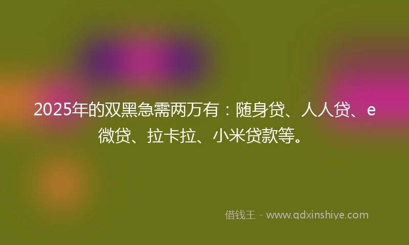 2025年的双黑急需两万有：随身贷、人人贷、e微贷、拉卡拉、小米贷款等。