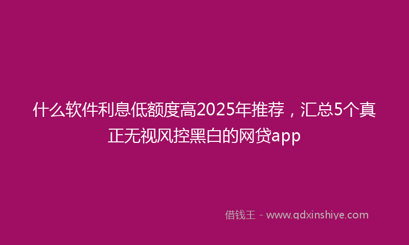 什么软件利息低额度高2025年推荐，汇总5个真正无视风控黑白的网贷app