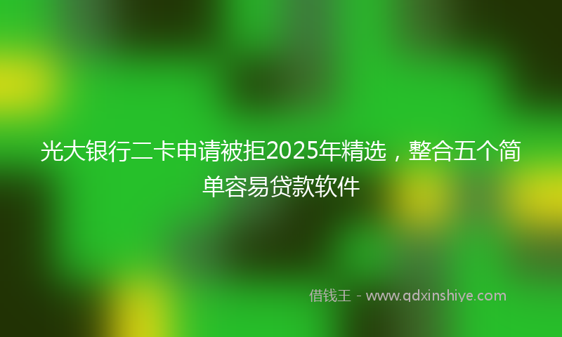 光大银行二卡申请被拒2025年精选，整合五个简单容易贷款软件