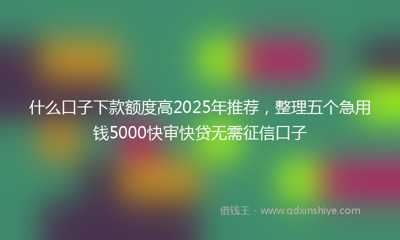 什么口子下款额度高2025年推荐，整理五个急用钱5000快审快贷无需征信口子