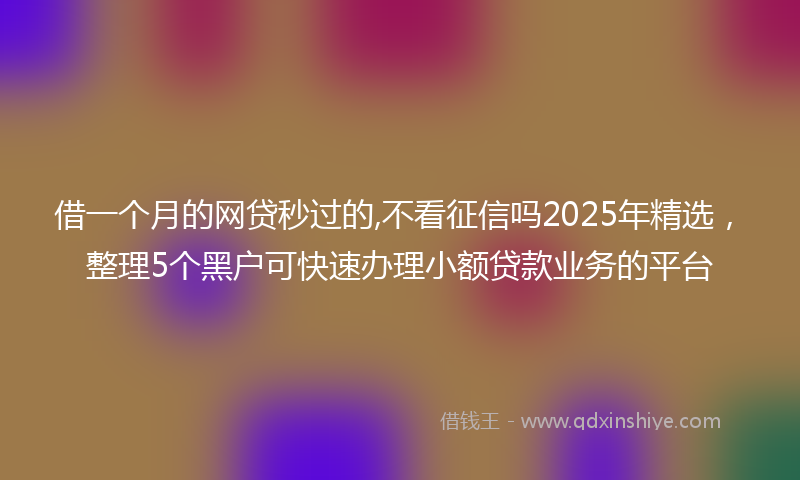 借一个月的网贷秒过的,不看征信吗2025年精选，整理5个黑户可快速办理小额贷款业务的平台