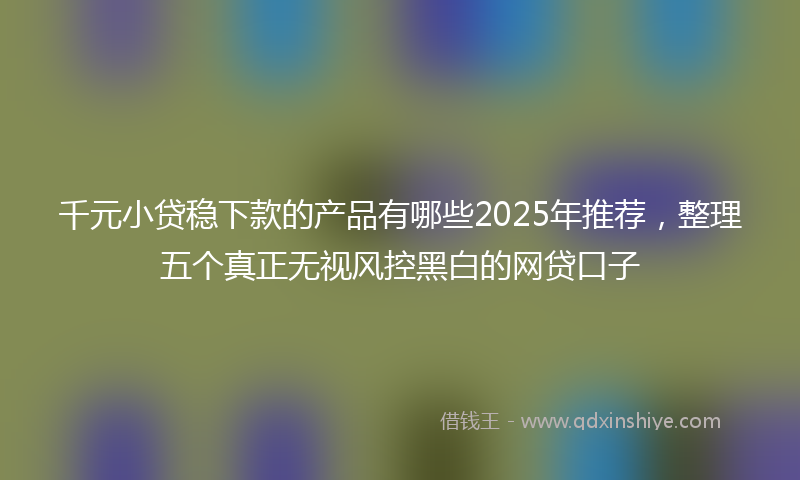 千元小贷稳下款的产品有哪些2025年推荐，整理五个真正无视风控黑白的网贷口子