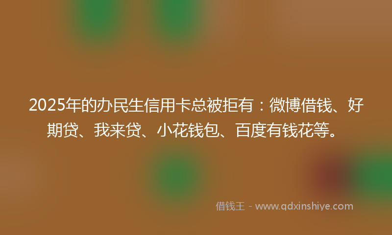 2025年的办民生信用卡总被拒有：微博借钱、好期贷、我来贷、小花钱包、百度有钱花等。