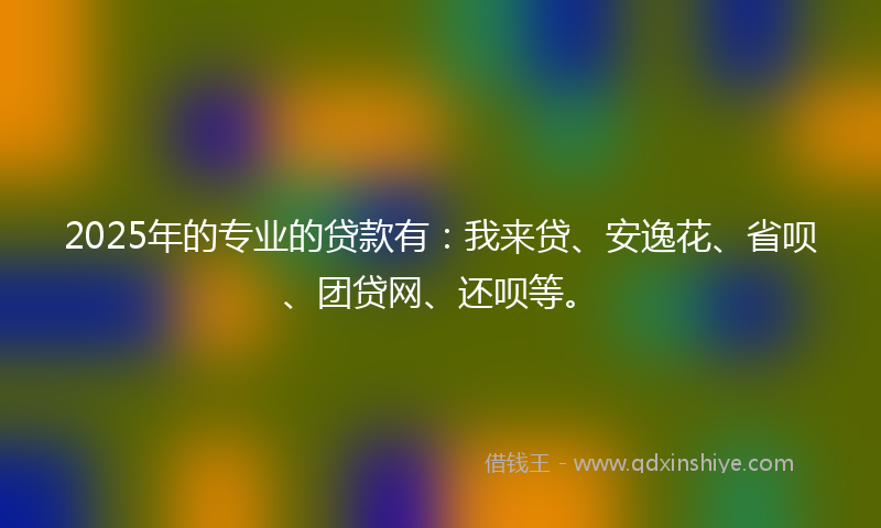 2025年的专业的贷款有：我来贷、安逸花、省呗、团贷网、还呗等。