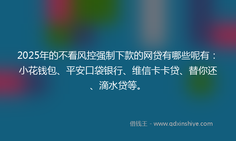 2025年的不看风控强制下款的网贷有哪些呢有：小花钱包、平安口袋银行、维信卡卡贷、替你还、滴水贷等。