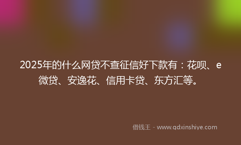 2025年的什么网贷不查征信好下款有：花呗、e微贷、安逸花、信用卡贷、东方汇等。