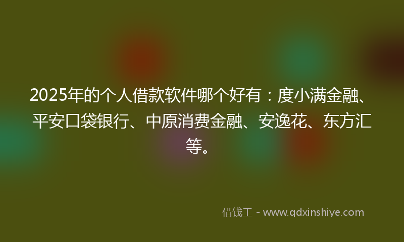 2025年的个人借款软件哪个好有：度小满金融、平安口袋银行、中原消费金融、安逸花、东方汇等。
