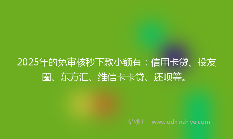2025年的免审核秒下款小额有：信用卡贷、投友圈、东方汇、维信卡卡贷、还呗等。
