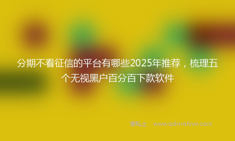 分期不看征信的平台有哪些2025年推荐，梳理五个无视黑户百分百下款软件