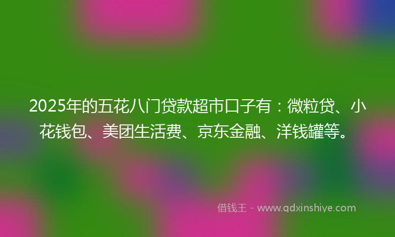 2025年的五花八门贷款超市口子有：微粒贷、小花钱包、美团生活费、京东金融、洋钱罐等。