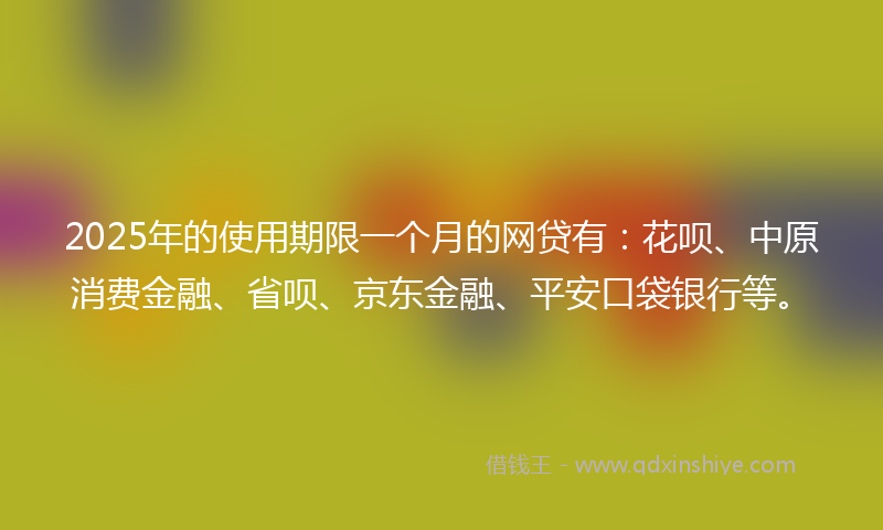 2025年的使用期限一个月的网贷有：花呗、中原消费金融、省呗、京东金融、平安口袋银行等。