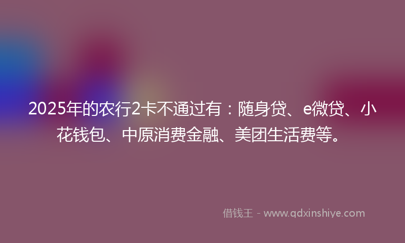 2025年的农行2卡不通过有：随身贷、e微贷、小花钱包、中原消费金融、美团生活费等。