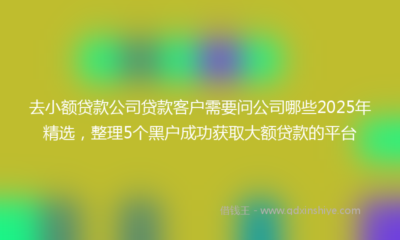 去小额贷款公司贷款客户需要问公司哪些2025年精选，整理5个黑户成功获取大额贷款的平台