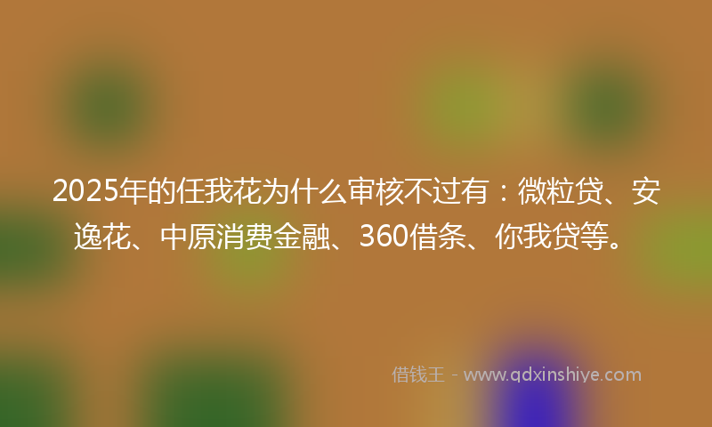 2025年的任我花为什么审核不过有：微粒贷、安逸花、中原消费金融、360借条、你我贷等。
