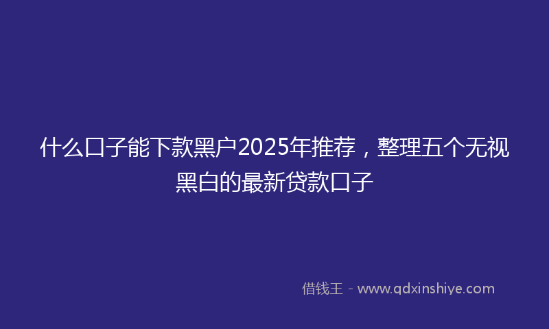 什么口子能下款黑户2025年推荐，整理五个无视黑白的最新贷款口子