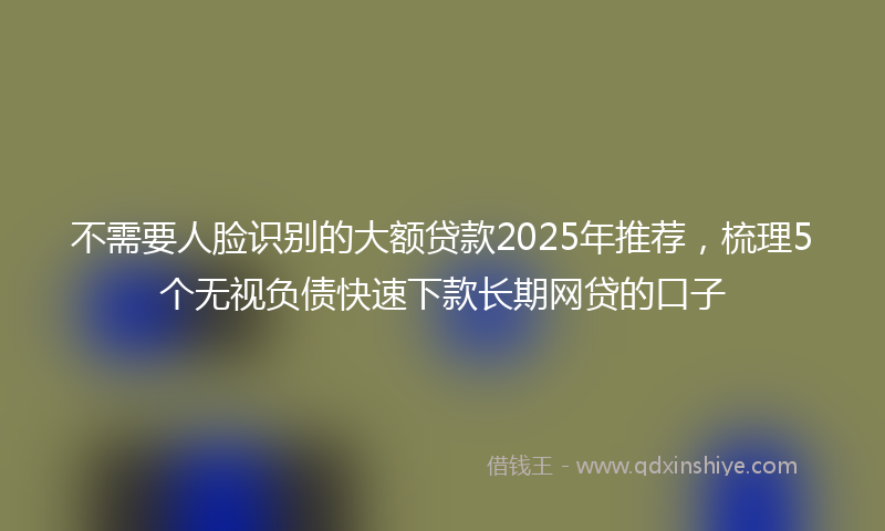不需要人脸识别的大额贷款2025年推荐，梳理5个无视负债快速下款长期网贷的口子