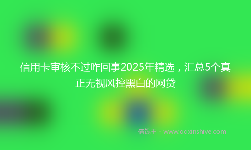信用卡审核不过咋回事2025年精选，汇总5个真正无视风控黑白的网贷