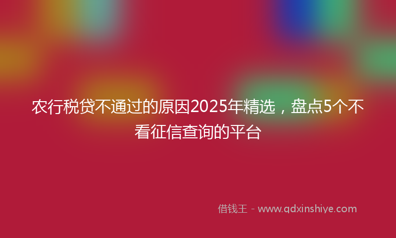 农行税贷不通过的原因2025年精选，盘点5个不看征信查询的平台