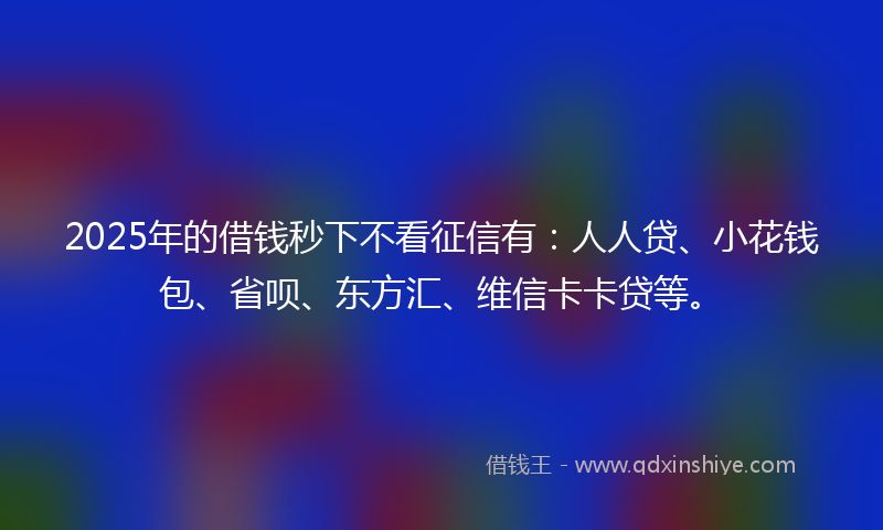 2025年的借钱秒下不看征信有：人人贷、小花钱包、省呗、东方汇、维信卡卡贷等。