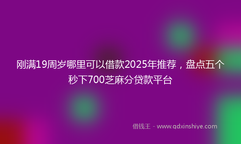 刚满19周岁哪里可以借款2025年推荐，盘点五个秒下700芝麻分贷款平台
