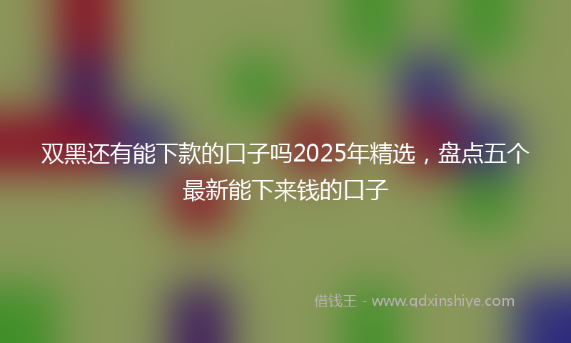 双黑还有能下款的口子吗2025年精选，盘点五个最新能下来钱的口子