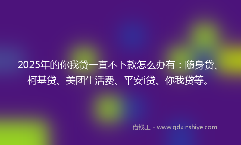 2025年的你我贷一直不下款怎么办有:随身贷、柯基贷、美团生活费、平安i贷、你我贷等。