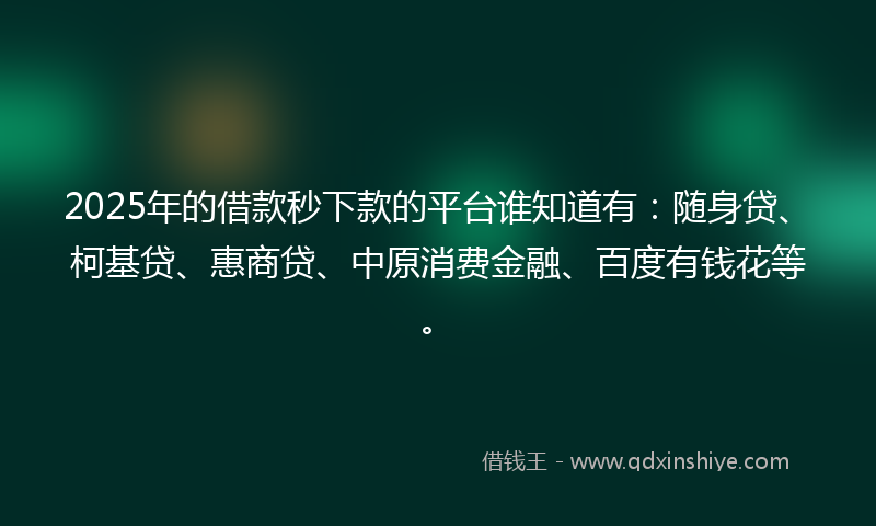 2025年的借款秒下款的平台谁知道有：随身贷、柯基贷、惠商贷、中原消费金融、百度有钱花等。