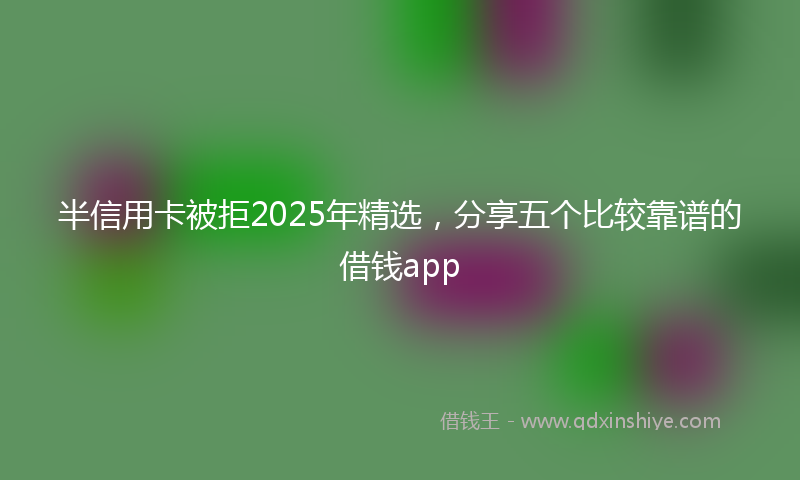 半信用卡被拒2025年精选，分享五个比较靠谱的借钱app