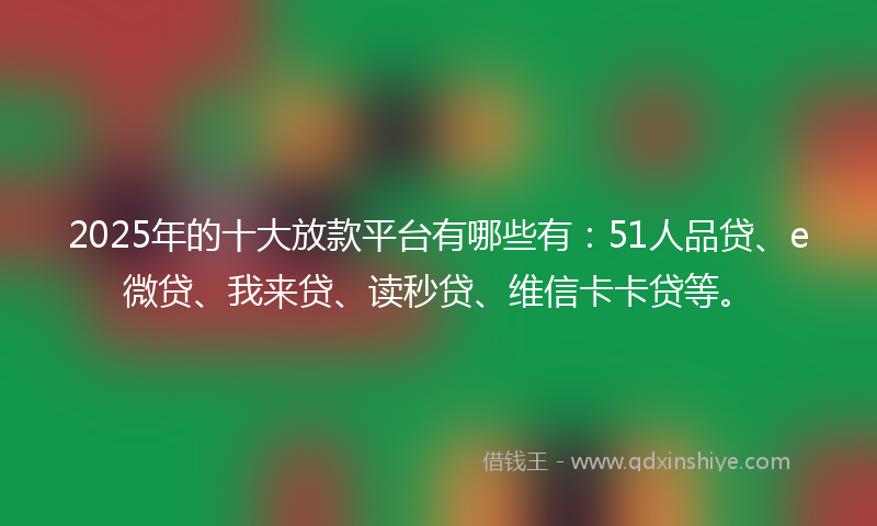 2025年的十大放款平台有哪些有：51人品贷、e微贷、我来贷、读秒贷、维信卡卡贷等。