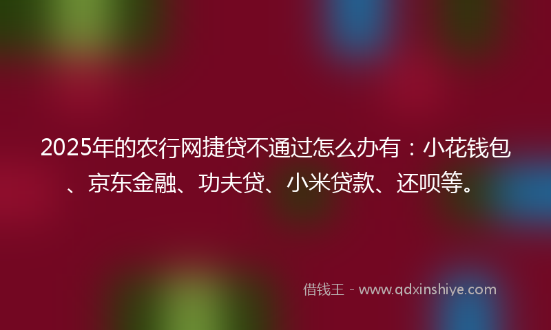 2025年的农行网捷贷不通过怎么办有：小花钱包、京东金融、功夫贷、小米贷款、还呗等。