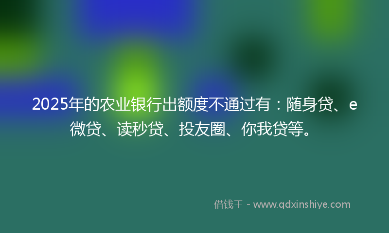 2025年的农业银行出额度不通过有：随身贷、e微贷、读秒贷、投友圈、你我贷等。