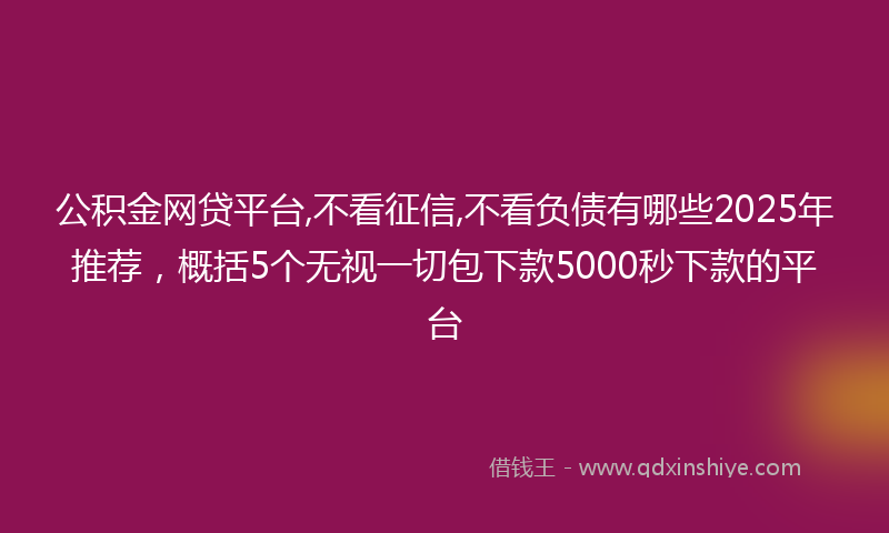 公积金网贷平台,不看征信,不看负债有哪些2025年推荐，概括5个无视一切包下款5000秒下款的平台