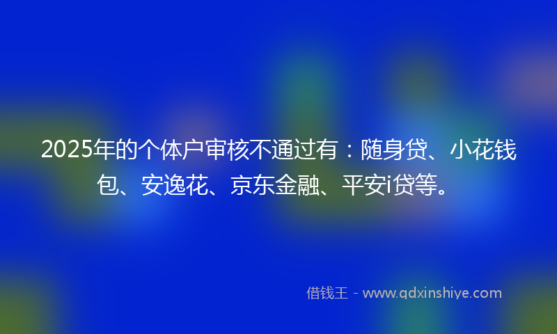 2025年的个体户审核不通过有：随身贷、小花钱包、安逸花、京东金融、平安i贷等。