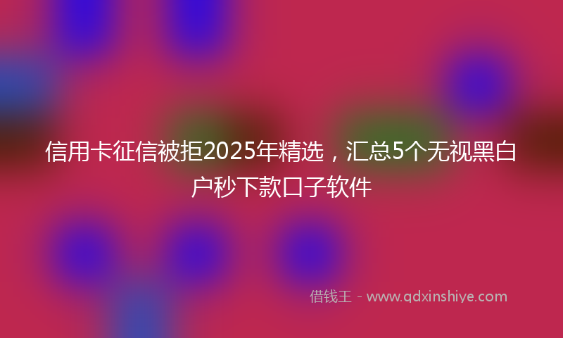 信用卡征信被拒2025年精选，汇总5个无视黑白户秒下款口子软件