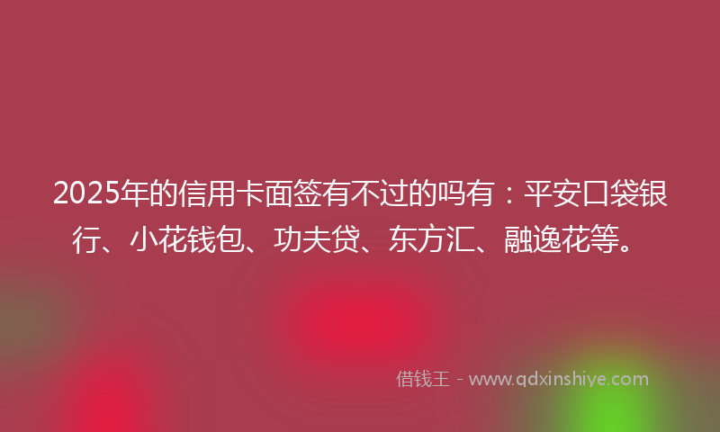 2025年的信用卡面签有不过的吗有：平安口袋银行、小花钱包、功夫贷、东方汇、融逸花等。