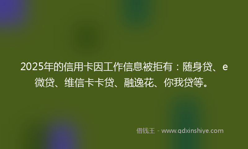 2025年的信用卡因工作信息被拒有：随身贷、e微贷、维信卡卡贷、融逸花、你我贷等。