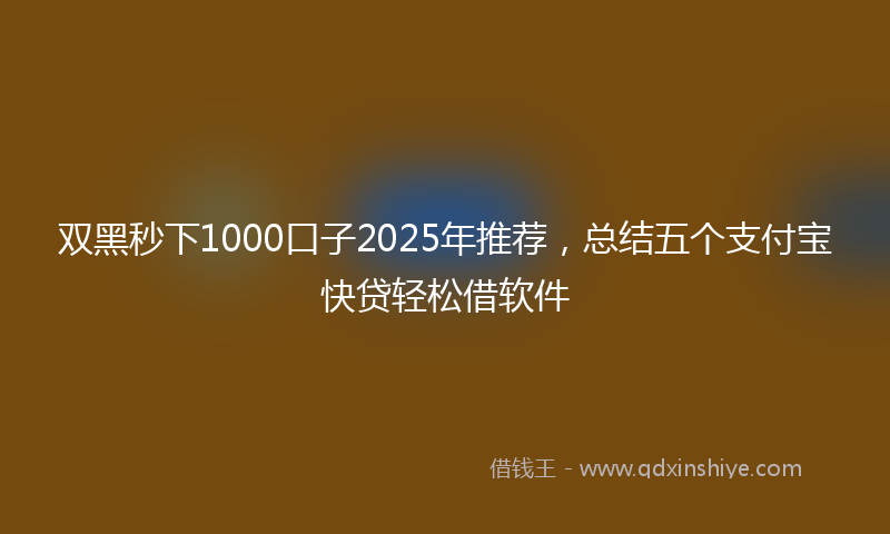 双黑秒下1000口子2025年推荐，总结五个支付宝快贷轻松借软件