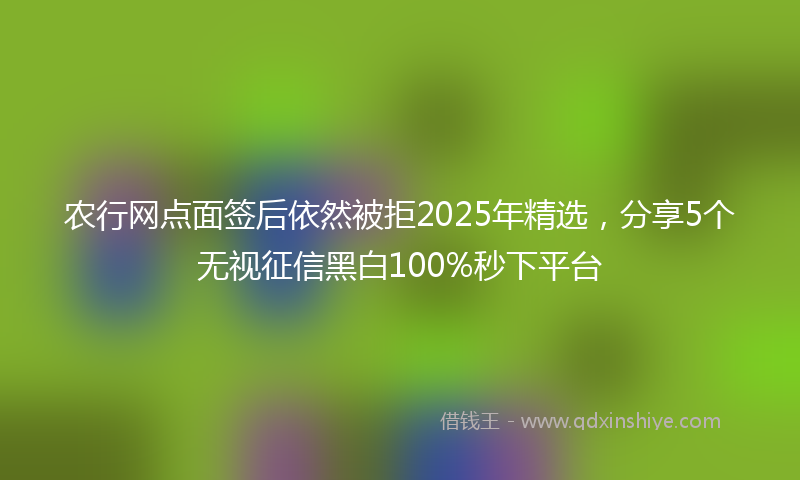 农行网点面签后依然被拒2025年精选，分享5个无视征信黑白100%秒下平台