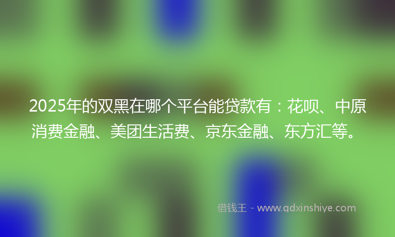 2025年的双黑在哪个平台能贷款有：花呗、中原消费金融、美团生活费、京东金融、东方汇等。