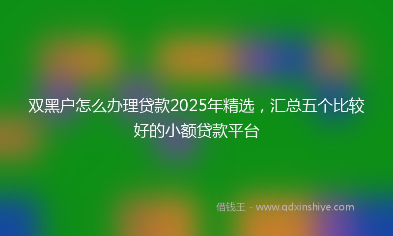 双黑户怎么办理贷款2025年精选，汇总五个比较好的小额贷款平台